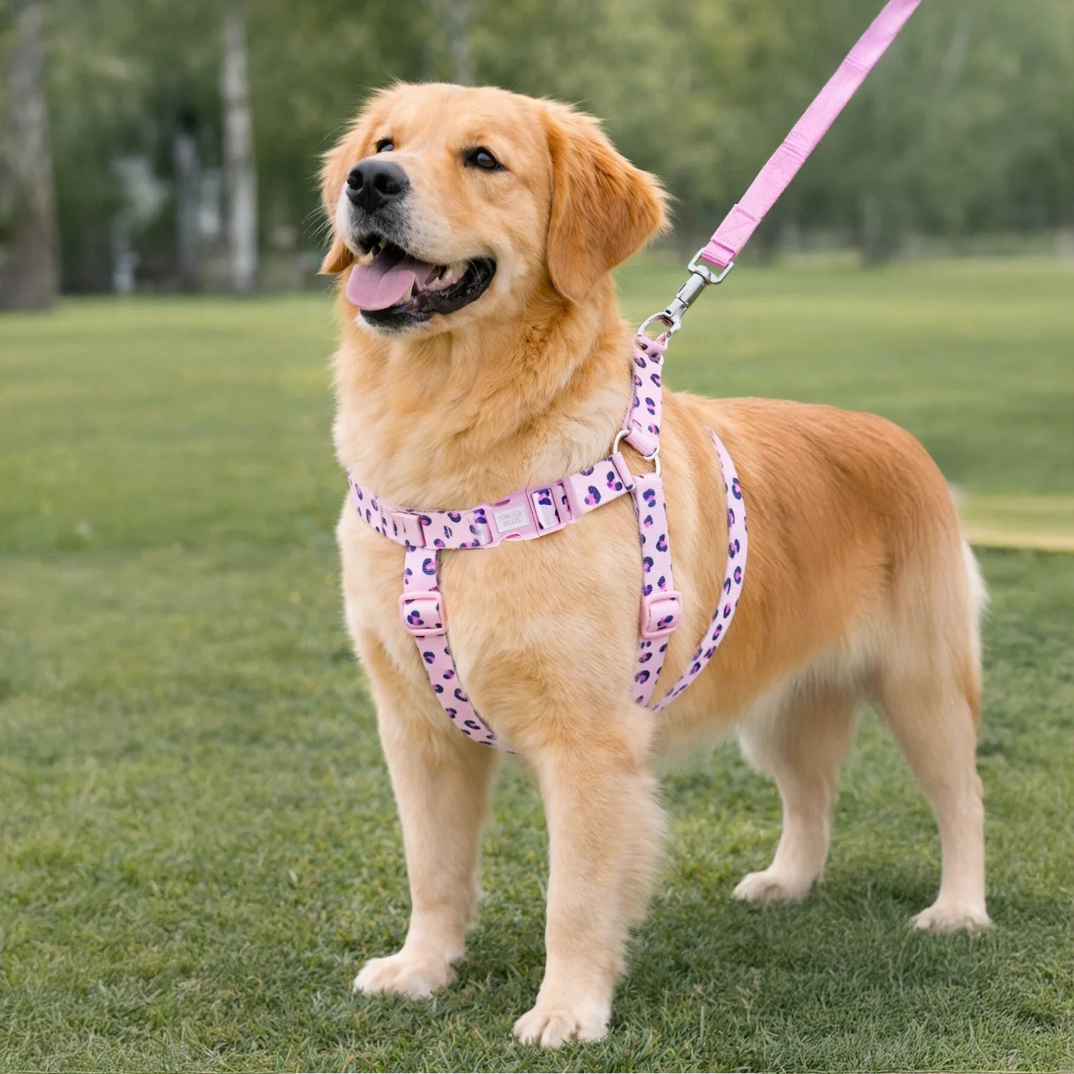 Patterned Recycled H-Type Harness