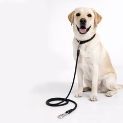 Polypropylene Rope Leash - 11mm/180cm